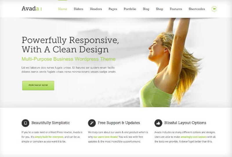 avada-responsive-wordpress-theme