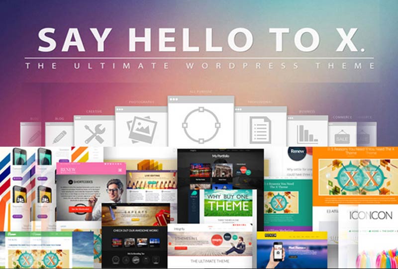 best-wordpress-themes-2016-x-theme